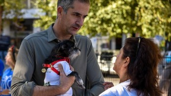 Τα αδέσποτα του δήμου της Αθήνας έχουν πλέον έναν σύμμαχο στην Πολιτεία