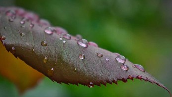 Καιρός: Συννεφιασμένος και βροχερός σήμερα σε όλη τη χώρα