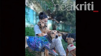 Χερσόνησος: Έξωση σε εκατοντάδες αδέσποτα από το ΤΑΙΠΕΔ – Έκκληση στον Πρωθυπουργό!