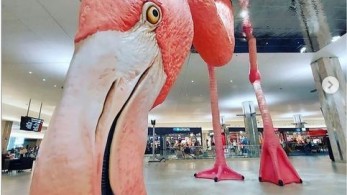 Γιγαντιαίο φλαμίνγκο καλωσορίζει τους ταξιδιώτες στο Tampa International Airport