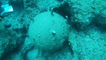 Βρέθηκε νάρκη στη θάλασσα του Ρεθύμνου