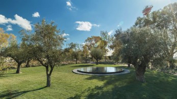 Lamda Development: Σε πλήρη εξέλιξη μία από τις πιο μεγάλες μεταφυτεύσεις δέντρων στο Ελληνικό