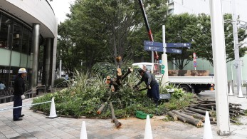 Οι πολυπληθέστερες πόλεις στον κόσμο – Η θέση της Αθήνας