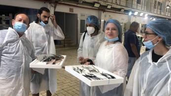 Καινοτομία για την φρεσκάδα των Αλιευμάτων στον ΟΚΑΑ ΑΕ