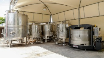 Eπαγγελματίες οίνου από την Ασία επισκέφθηκαν τους Αττικούς Αμπελώνες 