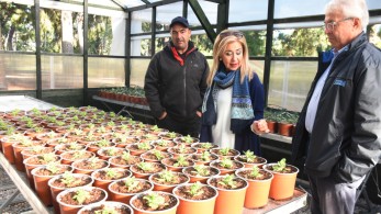 Ο Δήμος Νέας Σμύρνης εγκαινίασε το δημοτικό θερμοκήπιο