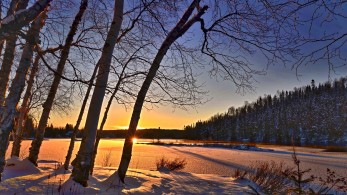 Pandoravirus: Επιστήμονες «ξύπνησαν» ιό-«ζόμπι» που είχε παγιδευτεί σε πάγο!