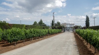 «Είμαστε περήφανοι για τους παραγωγούς μας και προσπαθούμε πάντα για το καλύτερο»