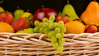 Oι παραγωγοί της Κεντρικής Μακεδονίας στην Fruit Logistica 2023