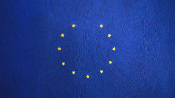 E.E.: Τέλος στις εισαγωγές προϊόντων που συνδέονται με την καταστροφή δασών