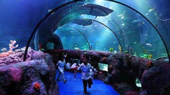 Τεράστιο ενυδρείο εξερράγη σε ξενοδοχείο στη Γερμανία – Δύο τραυματίες