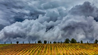 Ανασκόπηση 2022: Τα ρεκόρ που καταρρίφθηκαν τη χρονιά που φεύγει