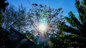 Καιρός: Αίθριος και αύριο με υψηλές για την εποχή θερμοκρασίες