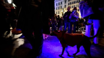 2.400 «γεύματα αγάπης» σε άστεγους από το Δήμο Αθηναίων τα Χριστούγεννα       
