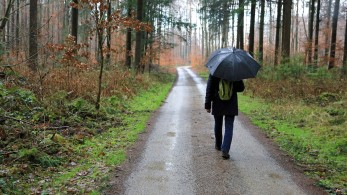 Καιρός: Βροχές και καταιγίδες-Έως 16 βαθμούς η θερμοκρασία