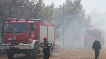 Πυρκαγιά σε δασική έκταση στη Βοιωτία