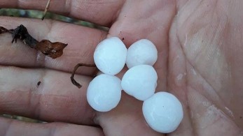 Χαλαζοπτώσεις στην Ηλεία – Καταστροφές σε πορτοκαλεώνες