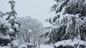 Ιαπωνία: Δυο άνδρες νεκροί από χιονοστιβάδα