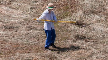 Δεν θα πληρώνουν εισφορές συνταξιούχοι με αγροτικό κλήρο και εισόδημα έως 10.000 ευρώ