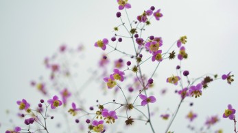 Καιρός: Υψηλές θερμοκρασίες και σήμερα, αλλά και τοπικές βροχές