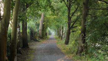 Τι αλλάζει στη ζωή μας με τον νέο περιβαλλοντικό νόμο