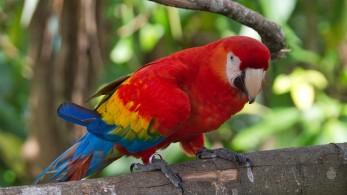 Στη δούλεψη του Αβραμόπουλου (κάμποσα) ΣΥΡΙΖΟτρολ!