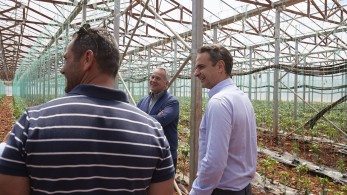 Κυριάκος Μητσοτάκης: Ο πρωτογενής τομέας αναδεικνύεται ως μοχλός ανάπτυξης της χώρας