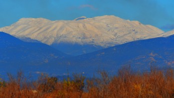 Όταν ο παγετός… κάνει τέχνη (pics)