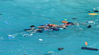 Άρθρο Βέμπερ, Μεϊμαράκη, Λέναρς: Ελλειμματική η μεταναστευτική πολιτική της ΕΕ