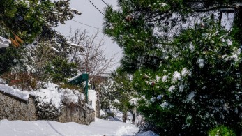 Μυτιλήνη: Κλειστά τα σχολεία στη Δυτική Λέσβο και αύριο Τρίτη