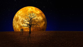 Κ. Μαργαρίτης: Η προεκλογική αντιπαράθεση να έχει επίκεντρο την κλιματική αλλαγή