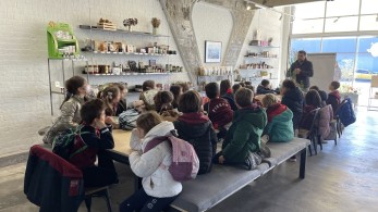 ΟΚΑΑ: Εκπαιδευτικές δράσεις για σχολεία της Αττικής το 2023