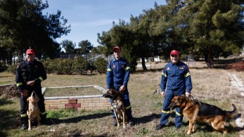 Φιντέλ, Τάλως, Έκτωρ: Τα σκυλιά της 2ης ΕΜΑΚ που σώζουν ζωές