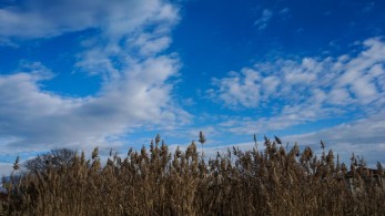 Καιρός: Ζέστη και συννεφιά-Έως 20 βαθμούς η θερμοκρασία