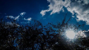 Καιρός: Υψηλές θερμοκρασίες και σήμερα-Η πρόβλεψη για την Καθαρά Δευτέρα