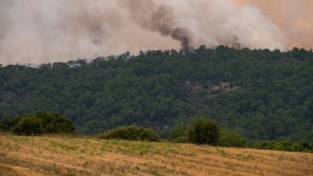 Φωτιά στην Μεγαλόπολη – Έχει κάψει 7 στρέμματα