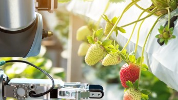 Ρομπότ αγρότης: Θα κάνει ψεκασμό, λίπανση, θα ελέγχει τη συγκομιδή δημιούργησαν τρεις μηχανικοί στη Σίνδο