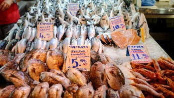 Καλάθι της ψαραγοράς: Στο τραπέζι η παράτασή του