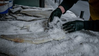 Το μπακαλιαράδικο της Θεσσαλονίκης που μετράει 113 χρόνια ζωής και έγινε θέμα στο BBC