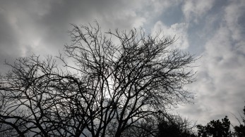 Καιρός: Τοπικές βροχές και καταιγίδες – Έως 22 βαθμούς η θερμοκρασία