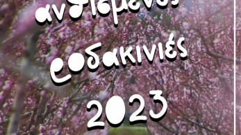 Βέροια: Ο τουρισμός της Ανθισμένης Ροδακινιάς….ξεκίνησε-Εκατοντάδες επισκέπτες στο ροζ κάμπο