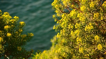 Καιρός: Υψηλές θερμοκρασίες σήμερα Κυριακή – Πού θα βρέξει