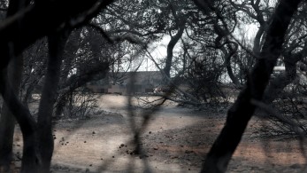 Μαρτυρία-κόλαφος για τη δίκη στο Μάτι: «Οι αξιωματικοί της Πυροσβεστικής ζητούσαν δυνάμεις που δεν ήρθαν ποτέ»