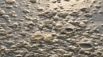 Χίλια παιδιά πεθαίνουν κάθε μέρα από μολυσμένο νερό