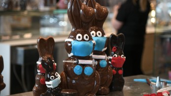 Βρυξέλλες: Πασχαλινά κουνελάκια με έκσταση εντοπίστηκαν στο αεροδρόμιο