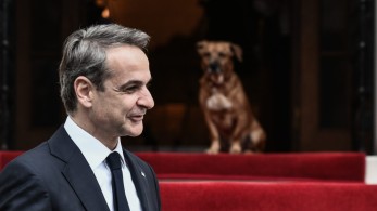 Μητσοτάκης: “Κανένα ζώο αδέσποτο, κανένα κακοποιημένο”
