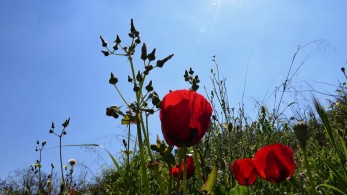 Καιρός: Με υψηλές θερμοκρασίες μπαίνει ο Απρίλιος – Έως 24 βαθμούς ο υδράργυρος