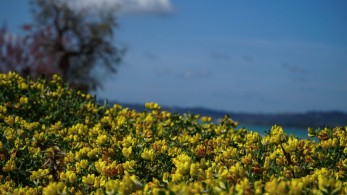 Καιρός: Μ. Πέμπτη με άνοδο της θερμοκρασίας – Έως 21 βαθμούς ο υδράργυρος