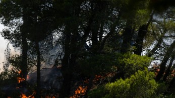 Ηράκλειο: Σύλληψη 63χρονου για πυρκαγιά από αμέλεια   
