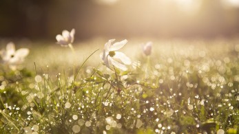 Γρηγόρης Ψαριανός: Να αντέξουμε τα δύσκολα, να πάμε στα μεγάλα